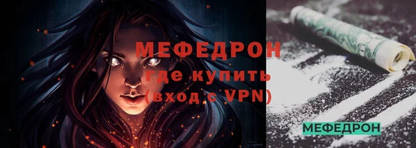 прущие грибы Богданович
