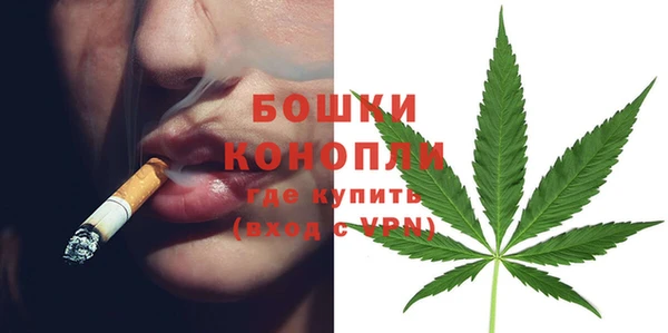 PSILOCYBIN Богородицк