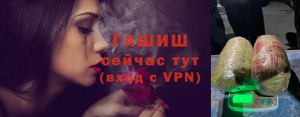 шишки Богородск