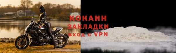 PSILOCYBIN Богородицк