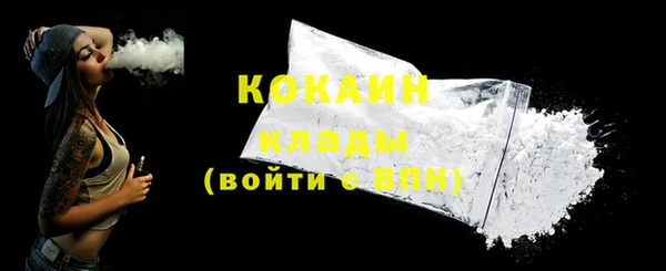 шишки Богородск