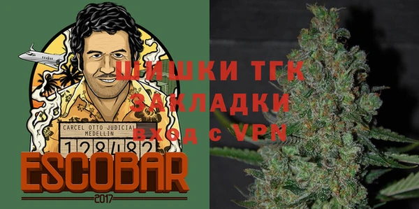 PSILOCYBIN Богородицк