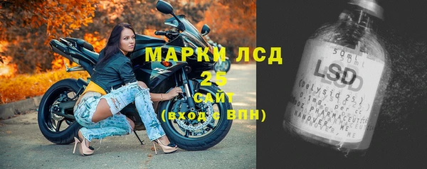 шишки Богородск