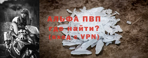 прущие грибы Богданович