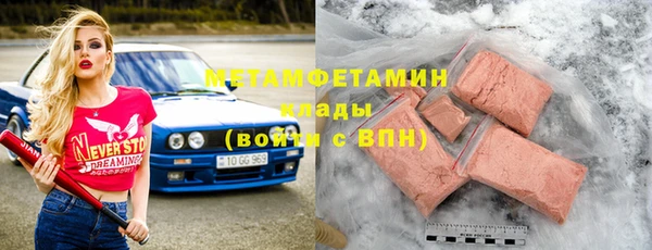 прущие грибы Богданович