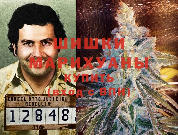 PSILOCYBIN Богородицк