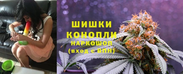 шишки Богородск