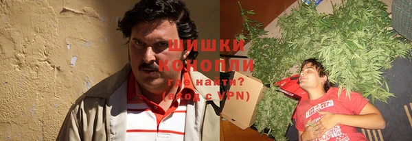 PSILOCYBIN Богородицк