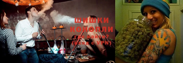 прущие грибы Богданович