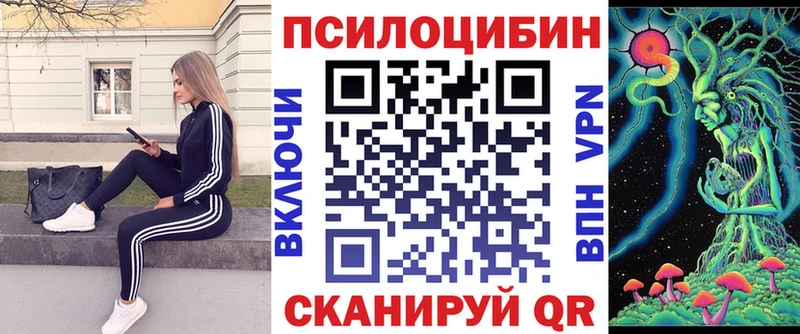 Псилоцибиновые грибы Cubensis  МЕГА как войти  Красноармейск  цена наркотик 